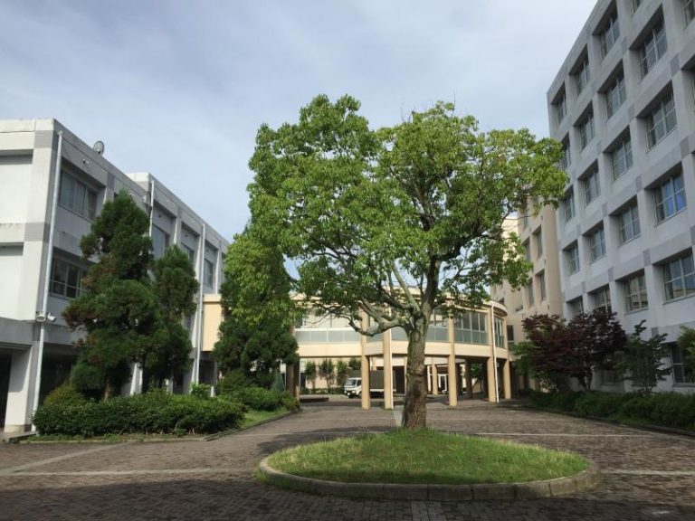 東海オンエアゆめまるの学歴｜出身大学高校や中学校の偏差値 ...