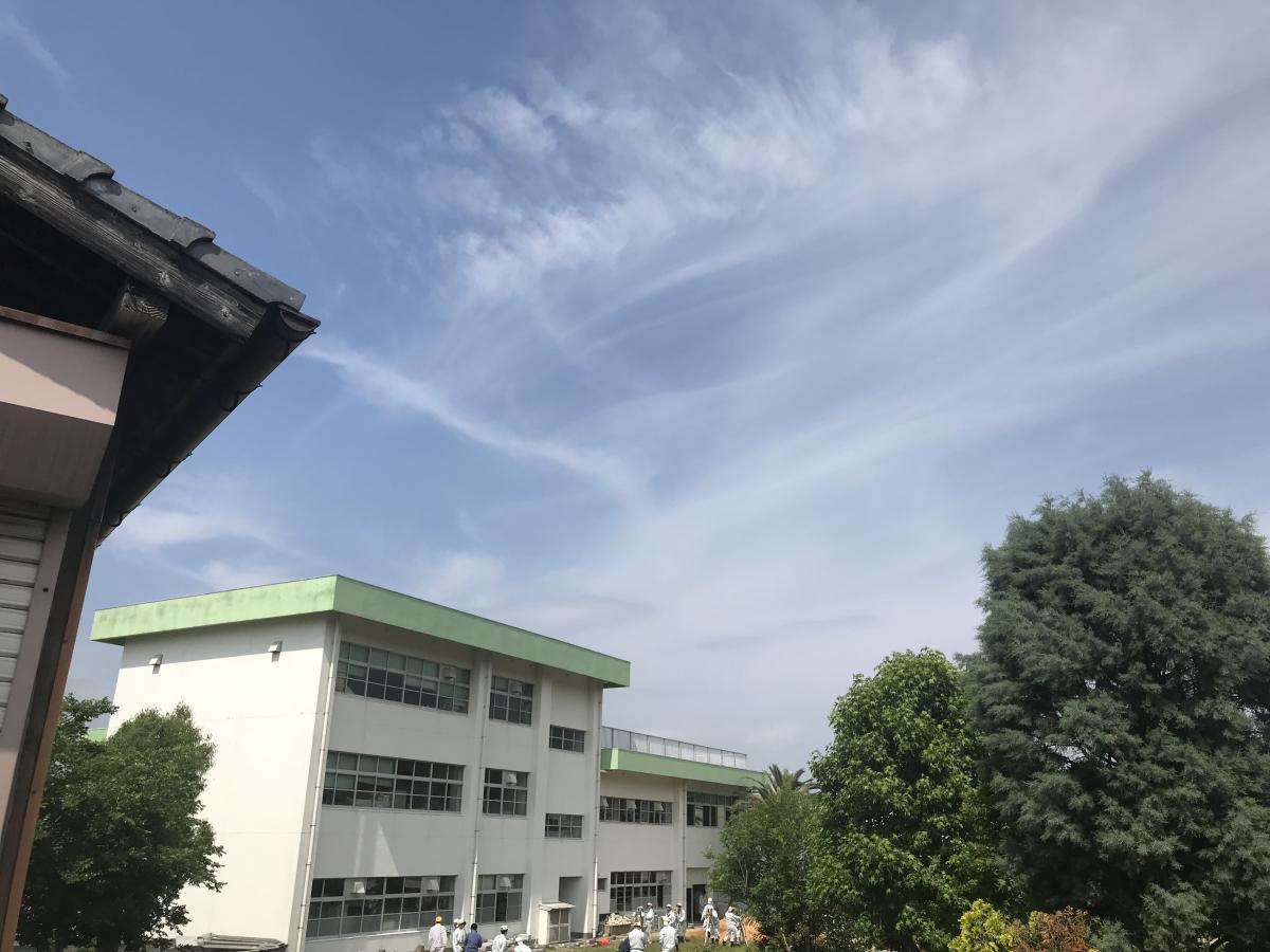 山田麻莉奈の学歴と経歴|出身高校大学や中学校の偏差値と学生時代のエピソード 山田麻莉奈の学歴と経歴|出身高校大学や中学校の偏差値と学生時代のエピソード